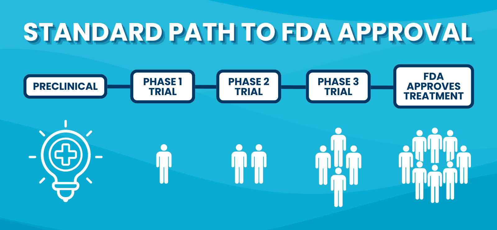 Depiction of standard path to FDA approval